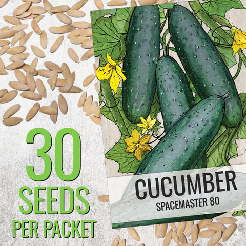 Seed Needs Spacemaster 80 cucumber compact growth for containers
