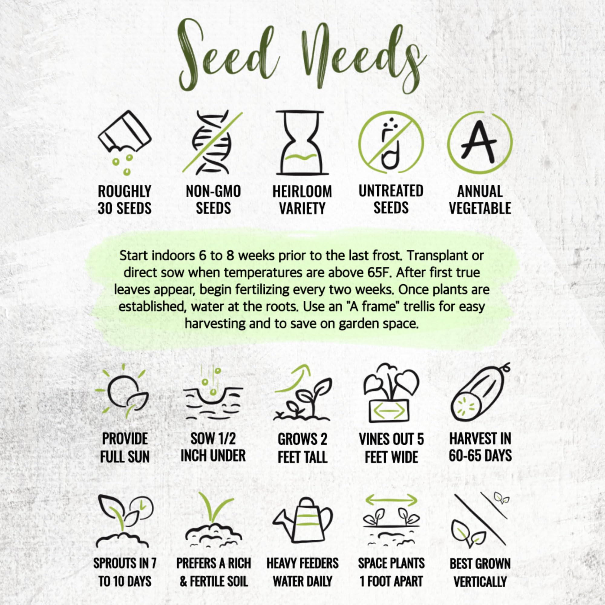Seed Needs Spacemaster 80 cucumber garden kit for home growers