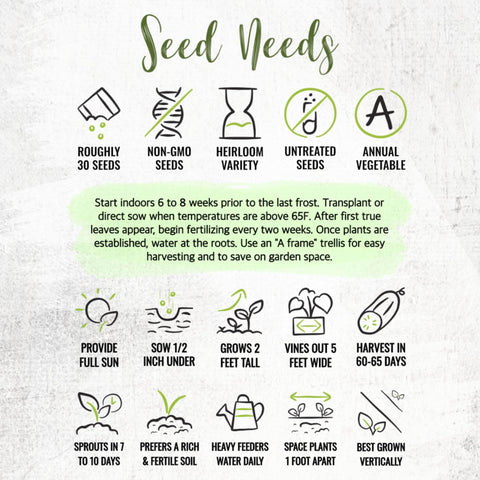 Seed Needs Spacemaster 80 cucumber garden kit for home growers