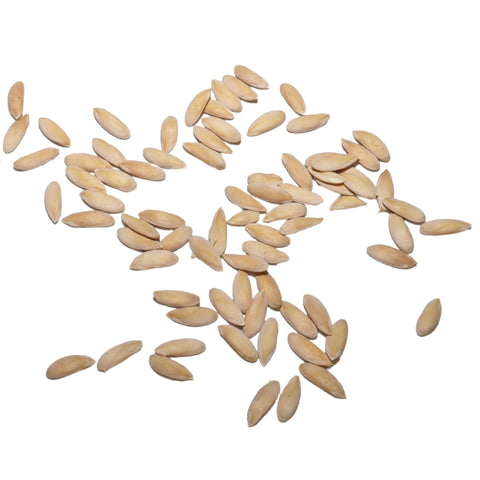 Seed Needs Spacemaster 80 packaging keeps seeds fresh and dry
