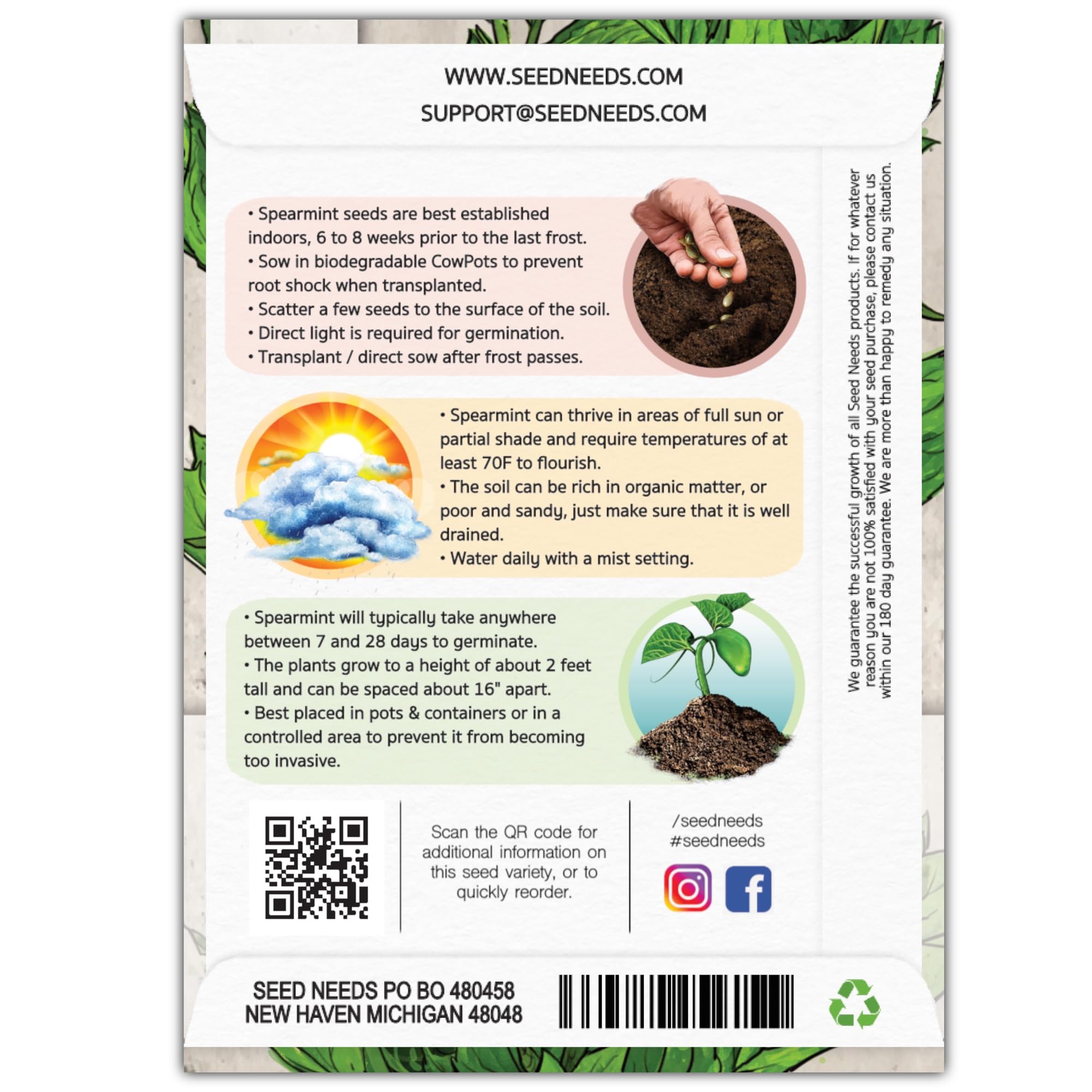 Seed Needs Spearmint seed packet back with sowing tips for robust planting