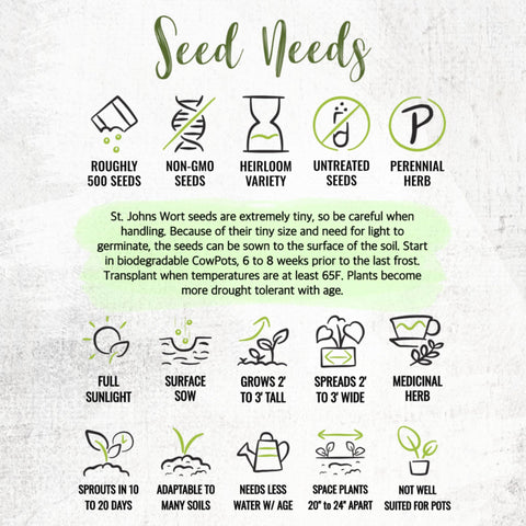 Seed Needs St. John's Wort packaging details show moisture-resistant design.