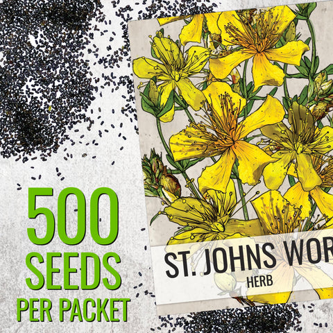 Artwork on Seed Needs St. John's Wort seed packet highlighting heirloom garden appeal.
