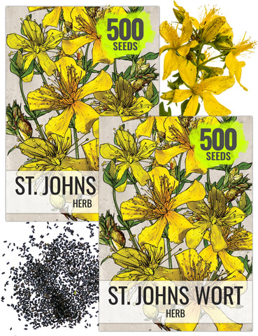 Seed Needs St. Johns Wort seeds packet front for easy home planting.