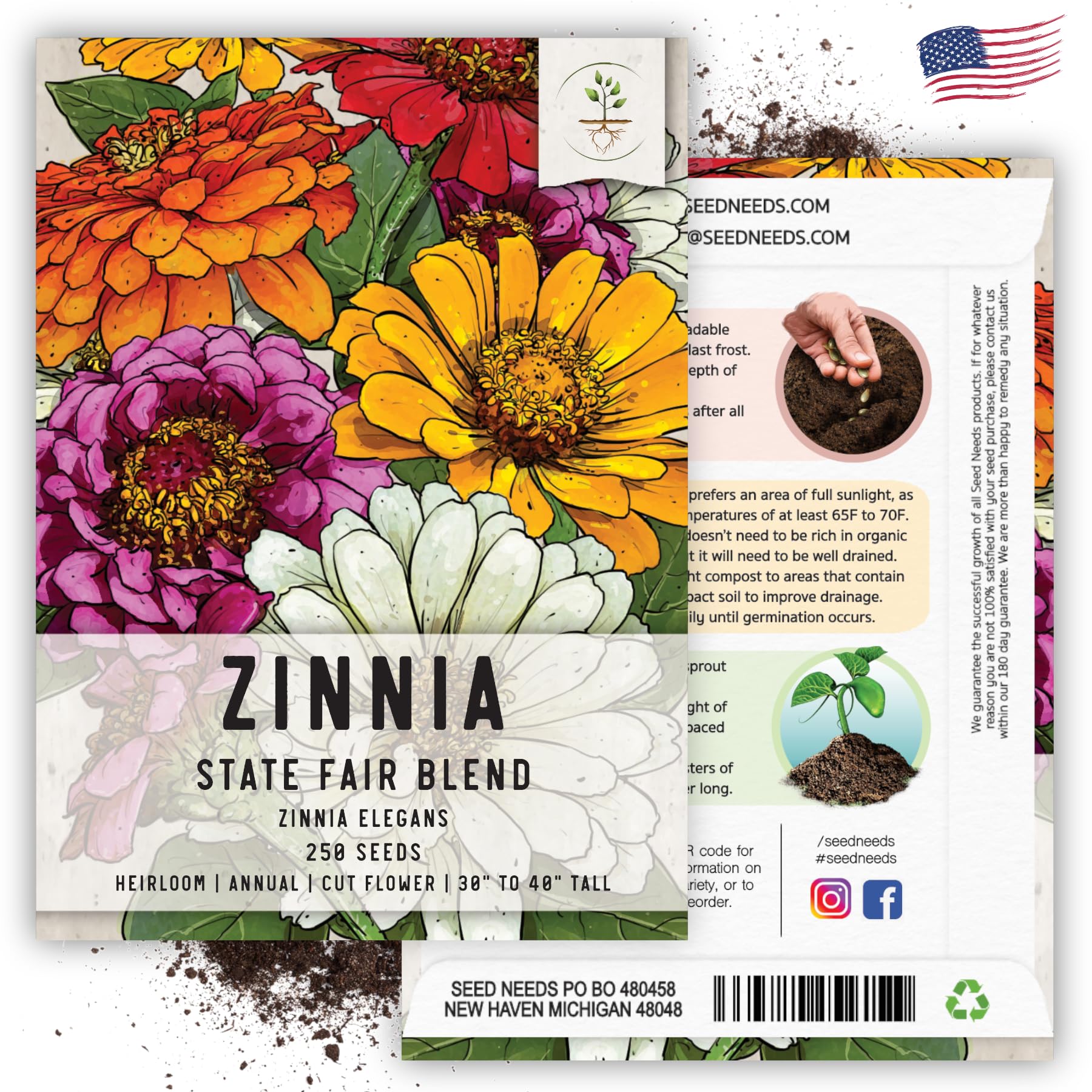 Seed Needs State Fair Zinnia cut flower in a vase arrangement