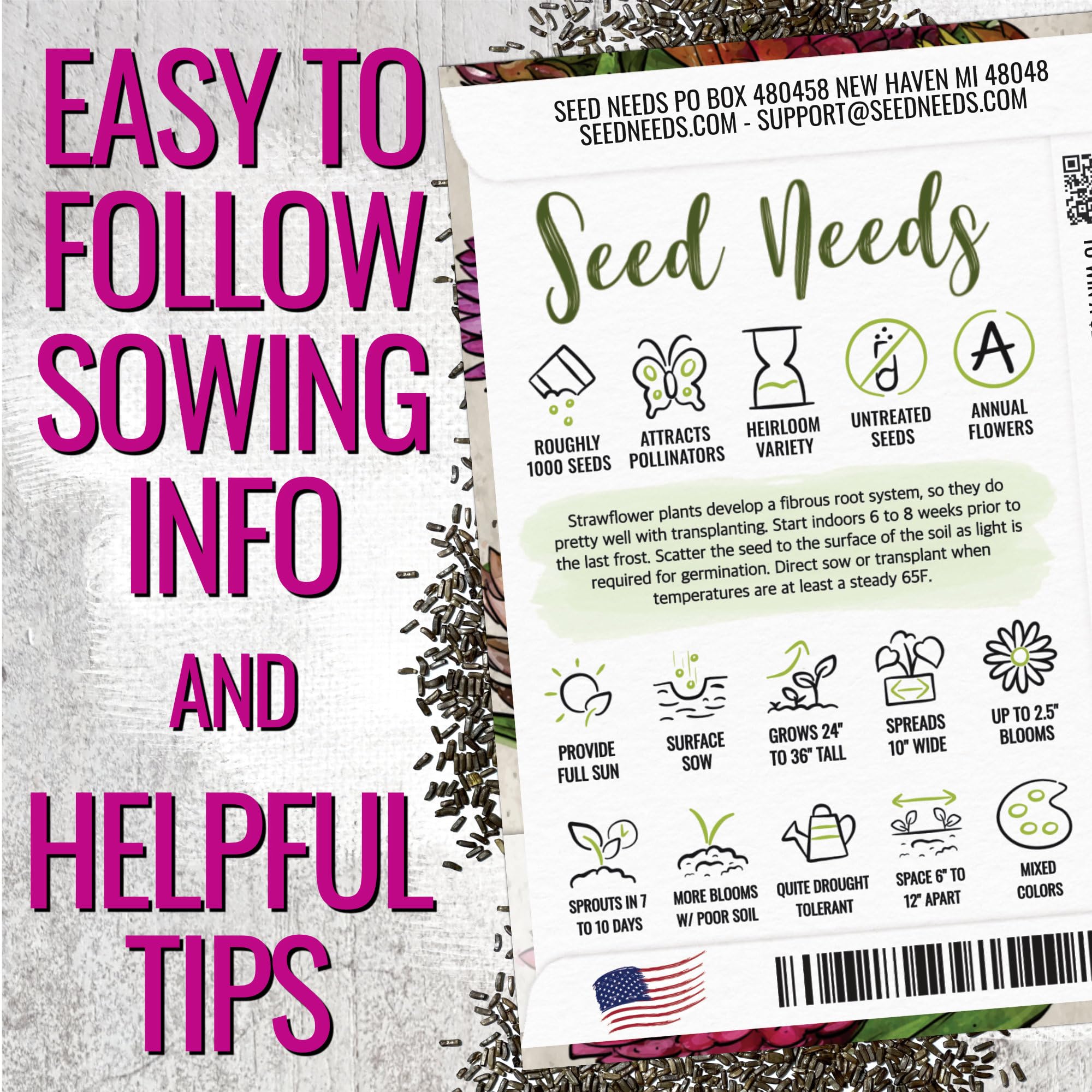 Seed Needs strawflower field-ready plants in a sunny border