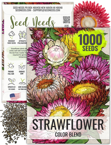 Seed Needs strawflower seeds packaging with sowing guide for successful planting.