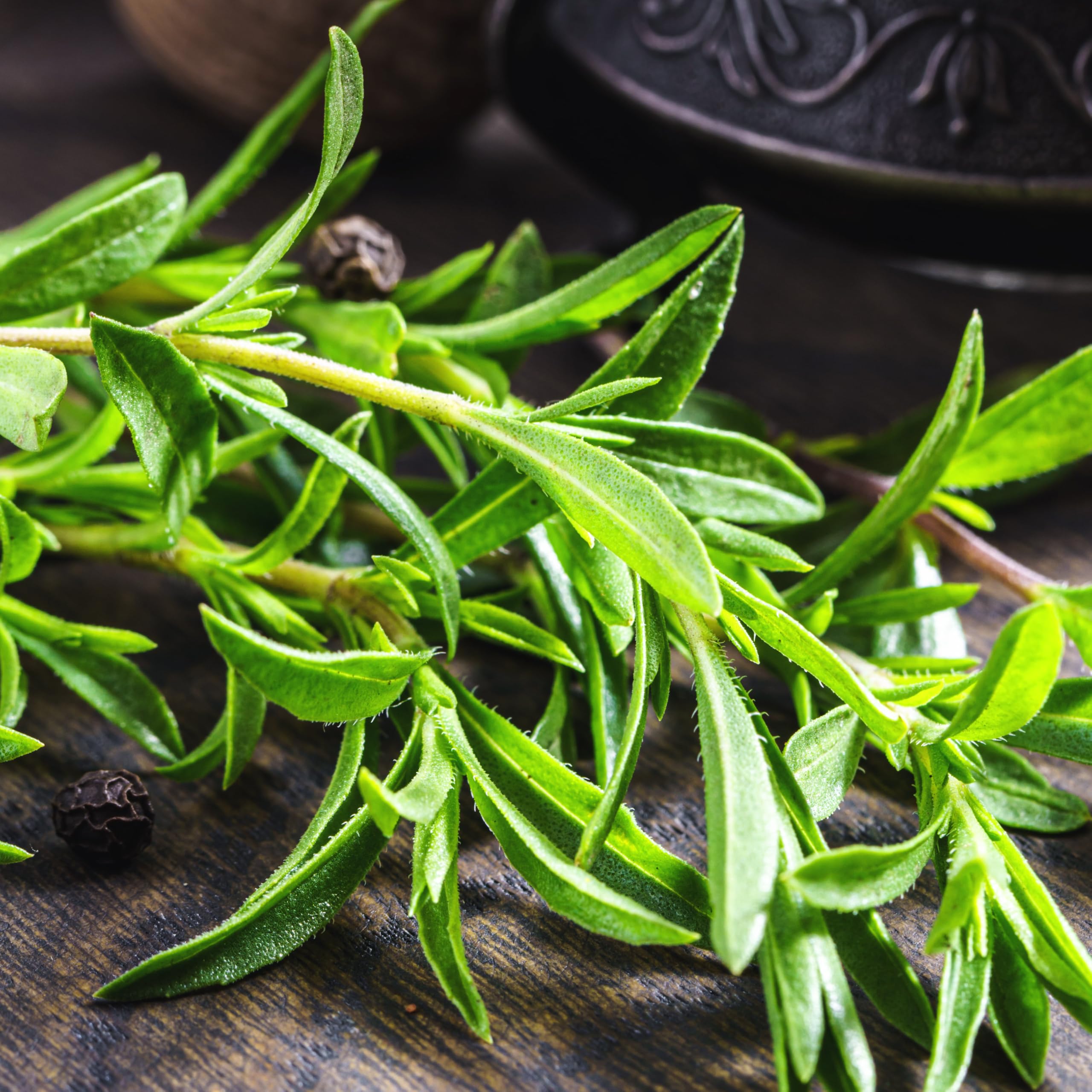 Seed Needs Summer Savory growing in a container on a balcony