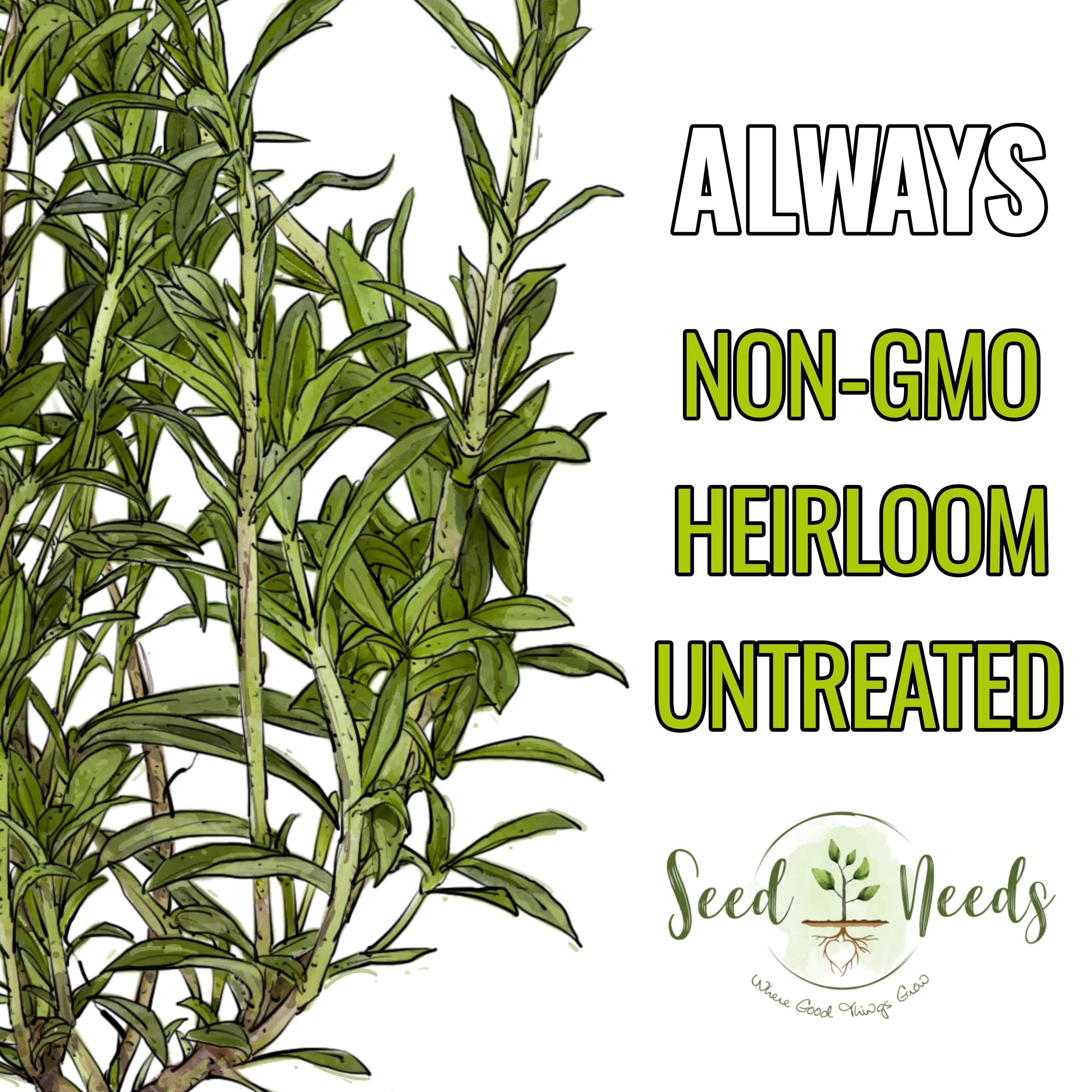 Seed Needs Summer Savory delicate white to pale purple flowers