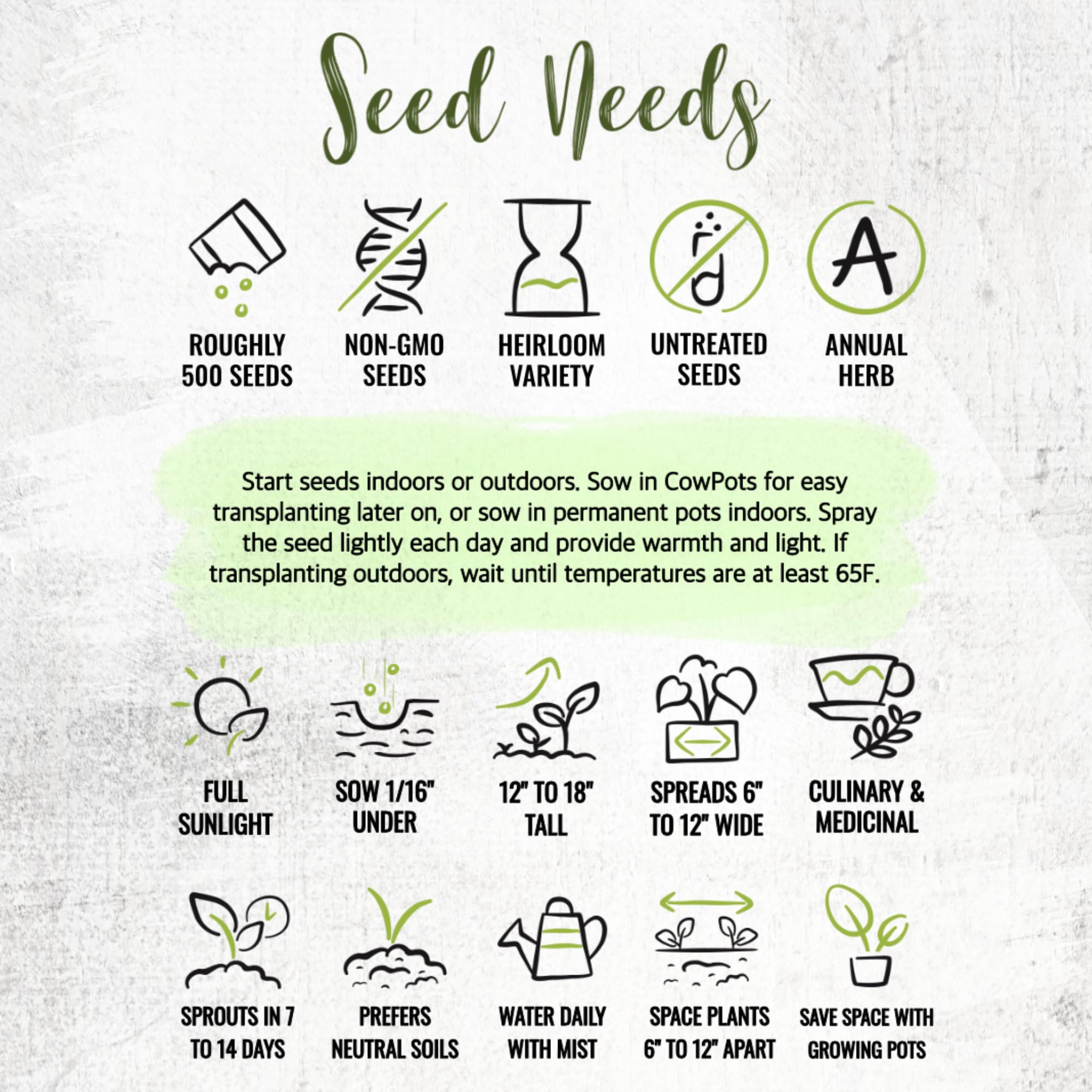 Seed Needs Summer Savory harvest-ready leaves for cooking