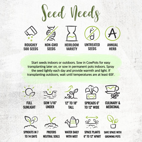 Seed Needs Summer Savory harvest-ready leaves for cooking