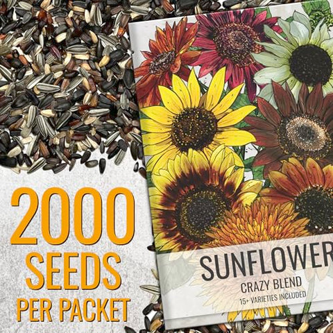 Seed Needs Crazy Blend features 15+ heirloom varieties for vibrant blooms.