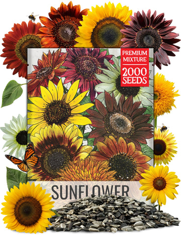 Seed Needs Crazy Blend 2oz sunflower seeds for quick planting.