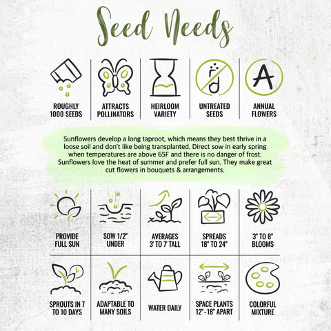 Seed Needs Sunflower generous quantities let you share seeds with friends.