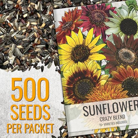 Seed Needs Sunflower multicolor blooms attract bees and butterflies for a lively pollinator garden.