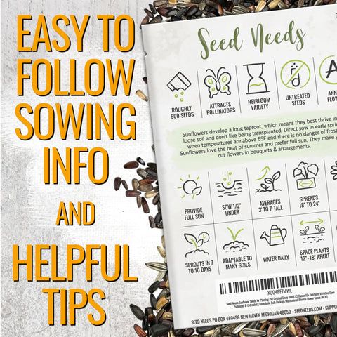 Seed Needs Sunflower pollinator-friendly garden highlights sun-loving annual blooms.
