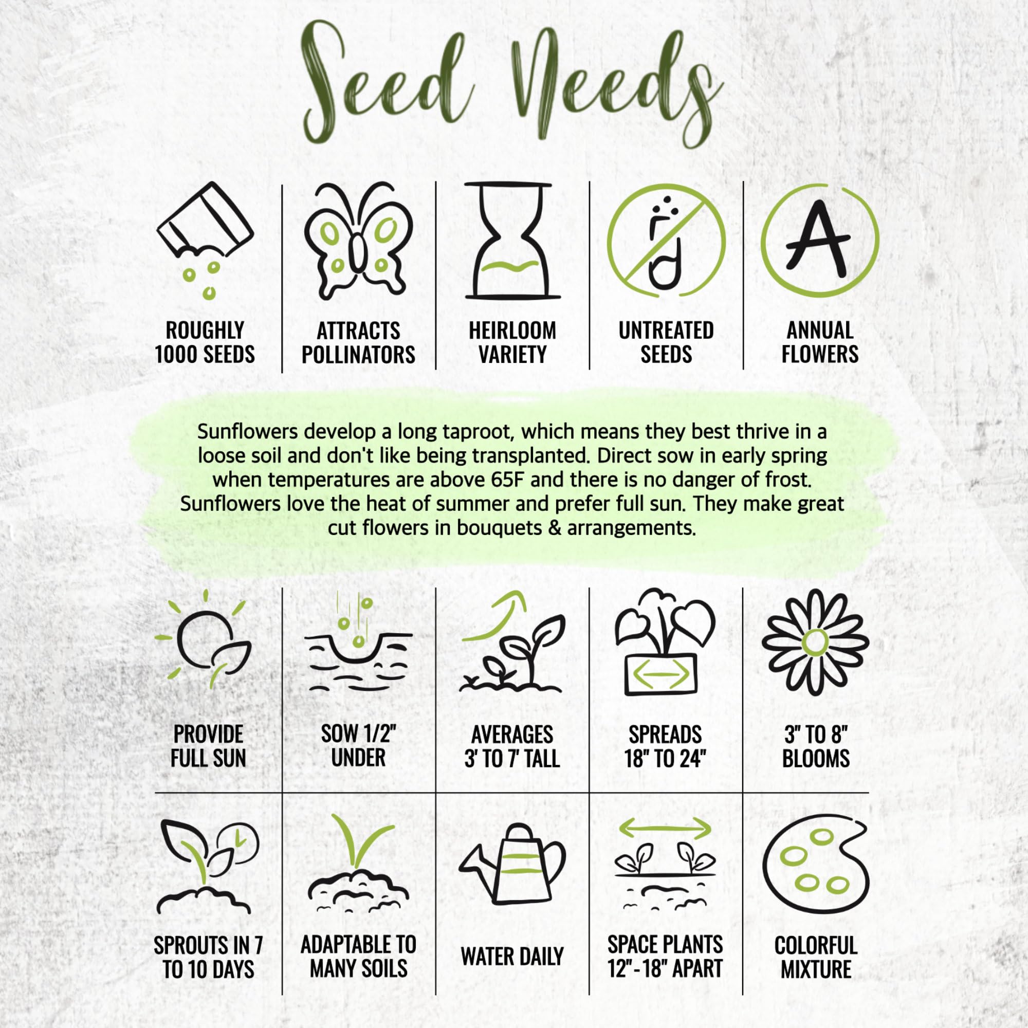 Seed Needs heirloom open-pollinated sunflowers preserving garden diversity