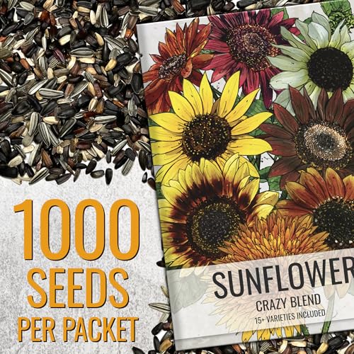Seed Needs sunflower seeds with multicolor blooms attracting bees and butterflies