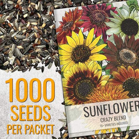 Seed Needs sunflower seeds with multicolor blooms attracting bees and butterflies