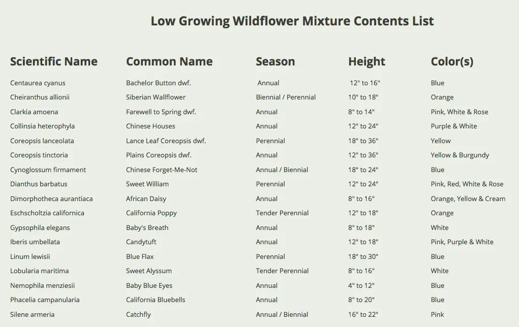 Seed Needs sunny garden planting setup shows ideal conditions for quick germination.