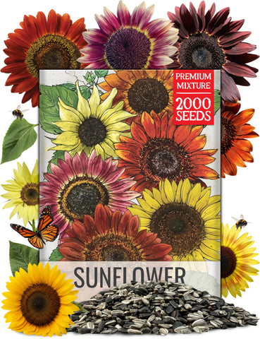 Seed Needs Sunset Blend Autumn Beauty blooms brighten borders and attract pollinators.