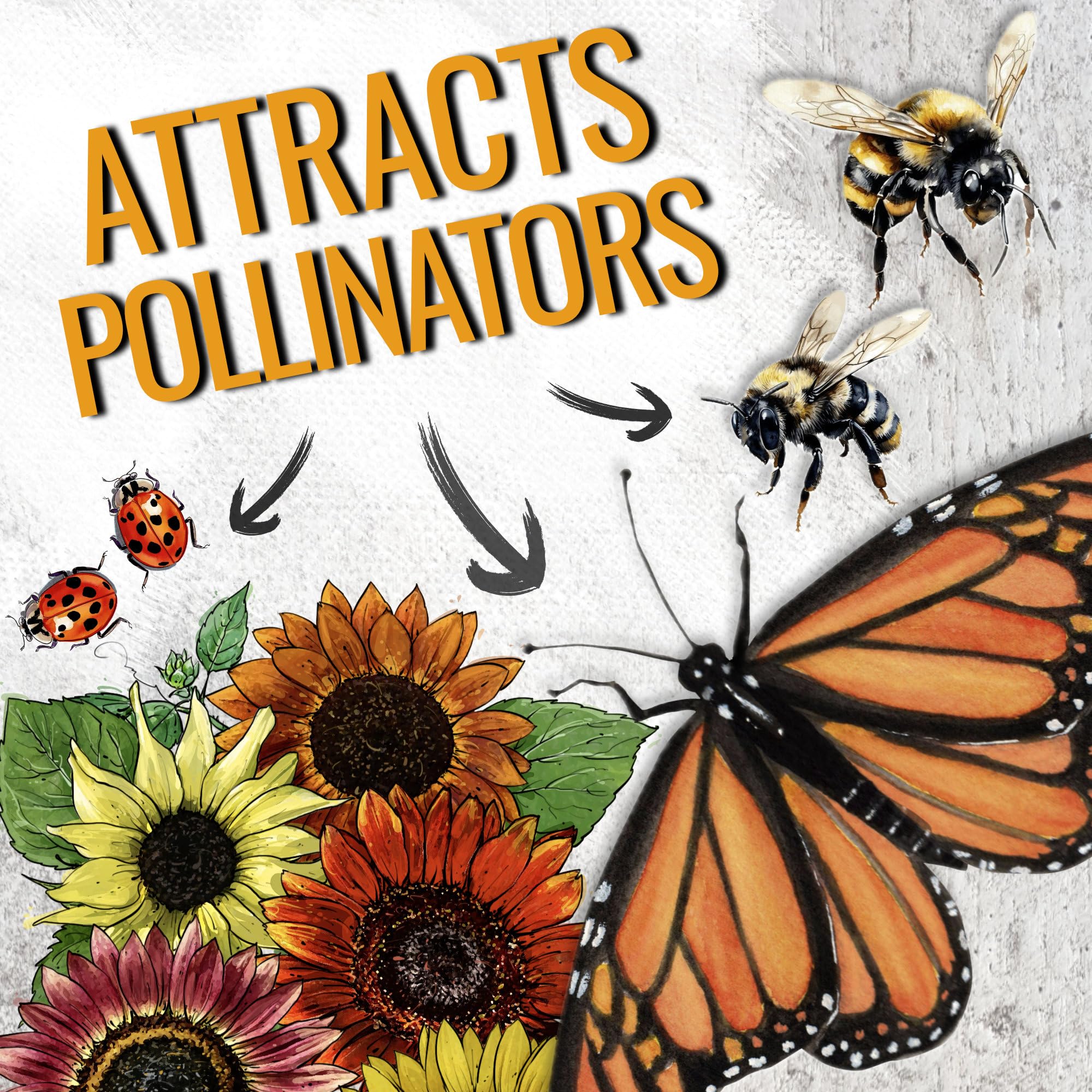 Seed Needs Sunset Blend Earthwalker seeds promote sturdy growth and tall blooms.