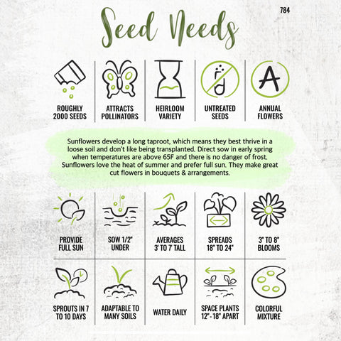 Seed Needs Sunset Blend Ice Cream creamy-toned flowers soften bouquets and arrangements.