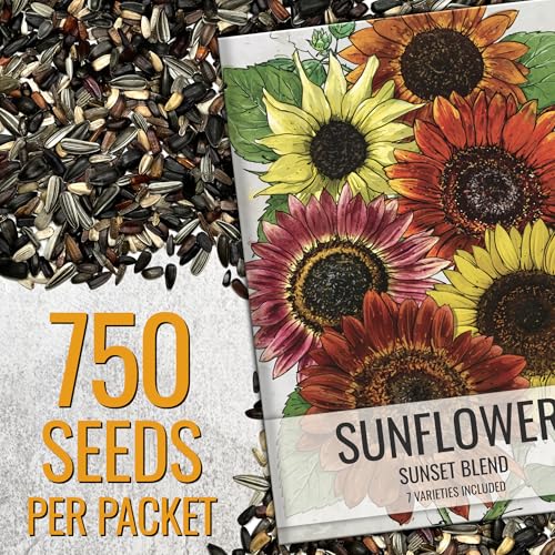 Seed Needs Sunset Blend open-pollinated seeds designed for easy replanting and future blooms.
