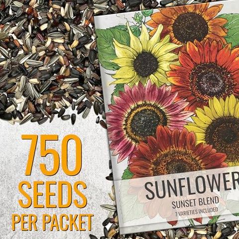 Seed Needs Sunset Blend open-pollinated seeds designed for easy replanting and future blooms.