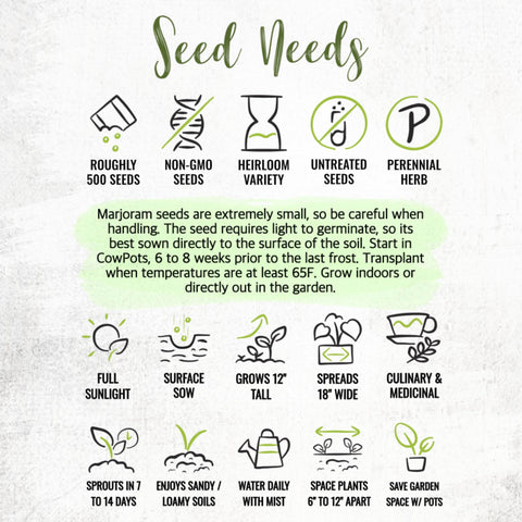 Seed Needs packet art with sowing tips for easy growth.