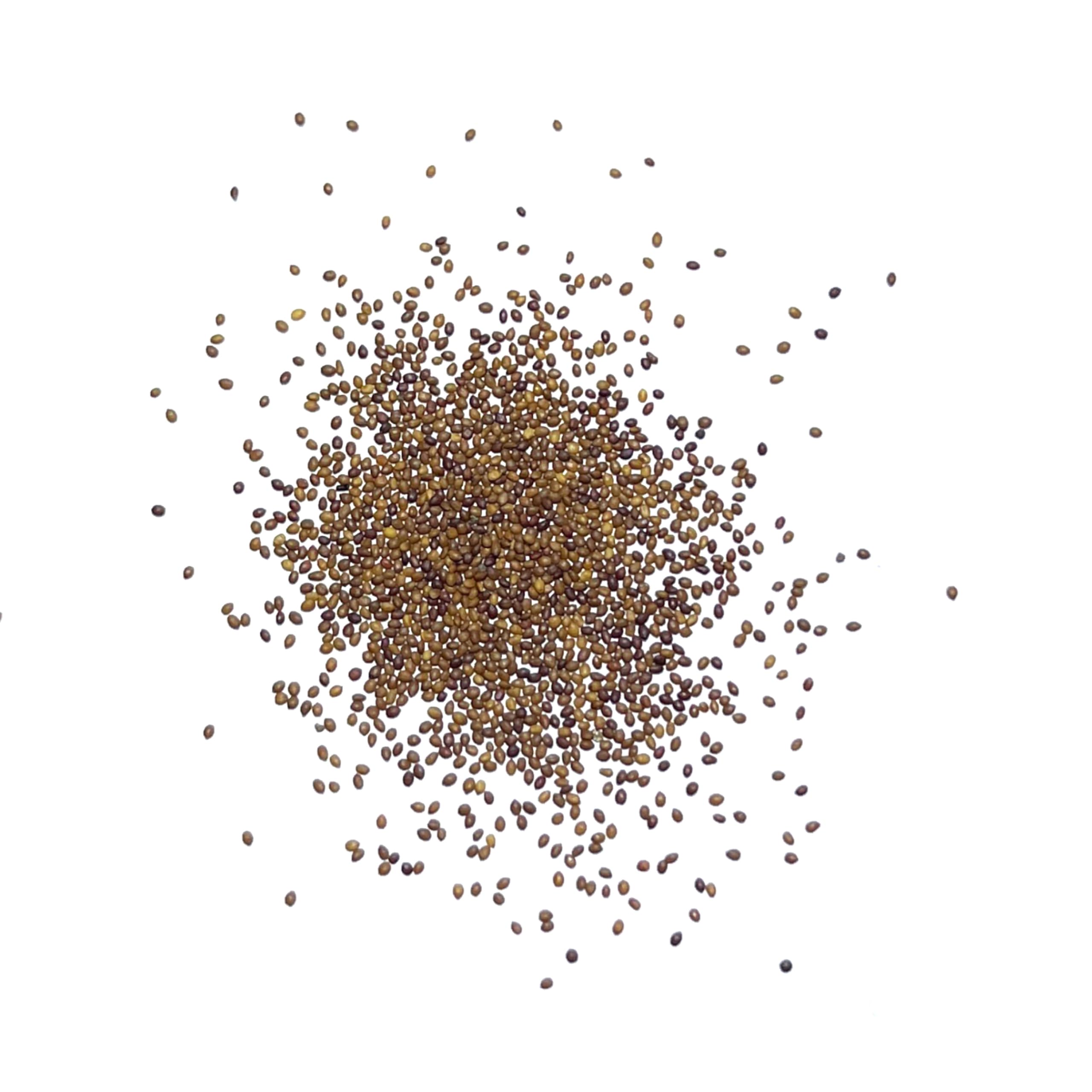 Seed Needs seed jar shows moisture-resistant packaging for freshness.