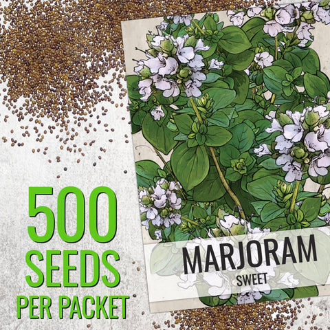 Seed Needs Sweet Marjoram seedling growing in sunlit garden.