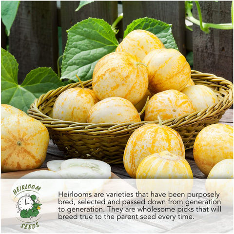 Seed Needs tear-resistant packaging keeps seeds fresher longer.