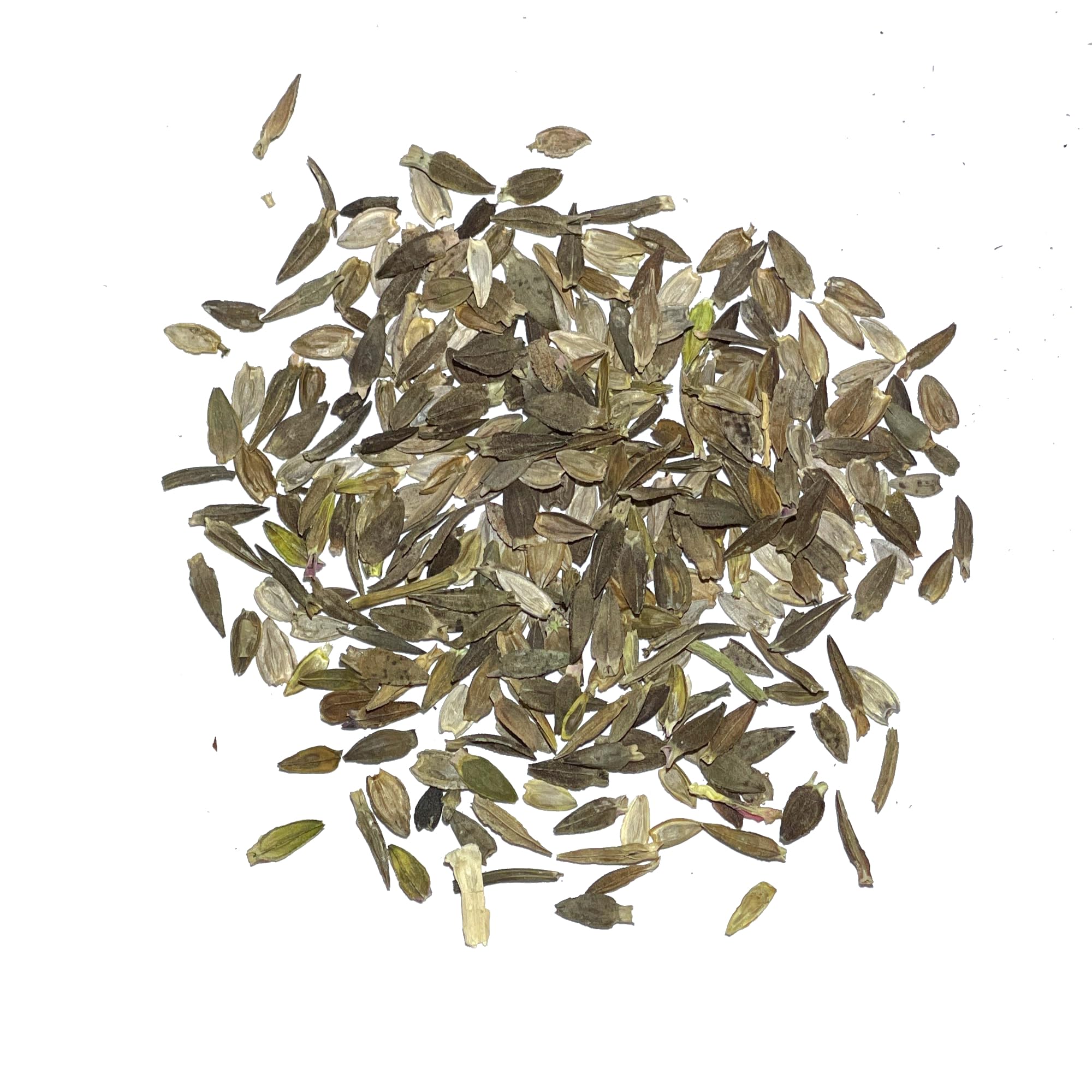 Seed Needs packet art for Thumbelina Zinnia with sowing details