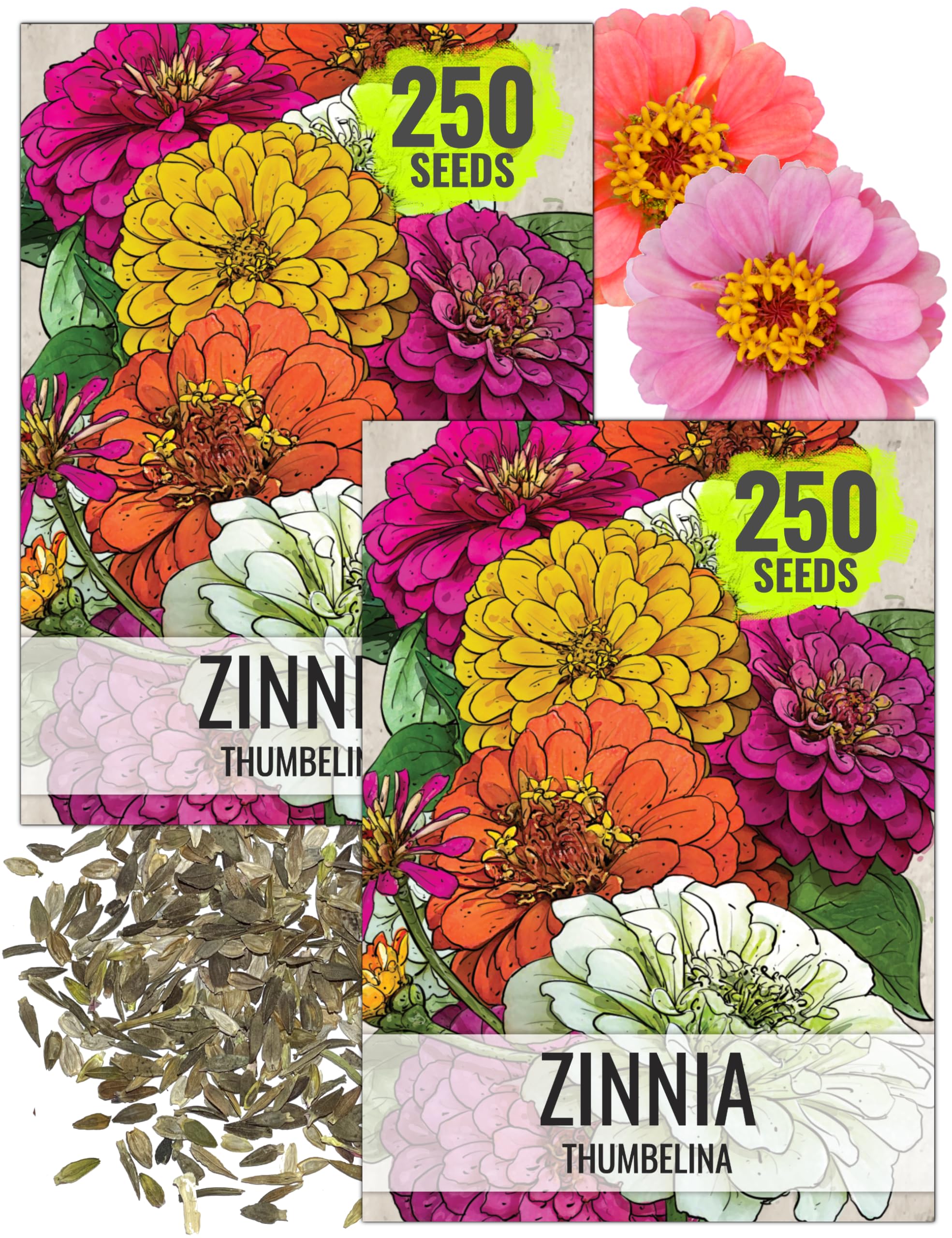 Seed Needs Thumbelina Zinnia seeds in packaging for compact container gardens