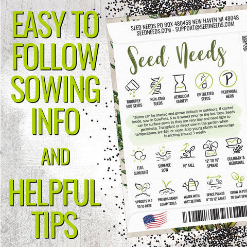 Seed Needs thyme herb starter plant ready for indoor or outdoor growing
