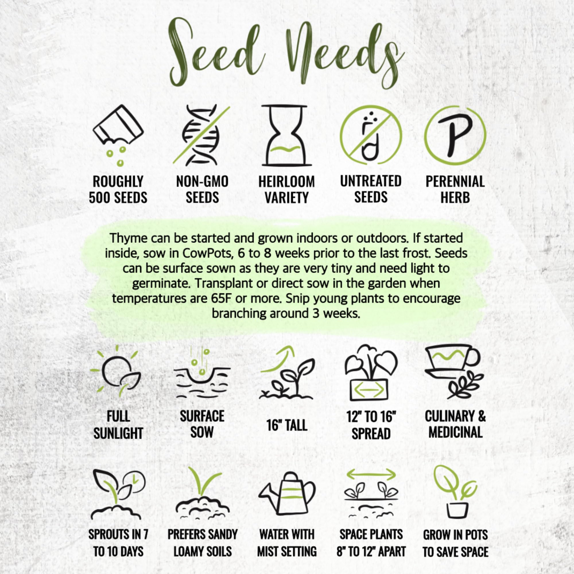 Seed Needs thyme in kitchen showing fresh aroma for cooking