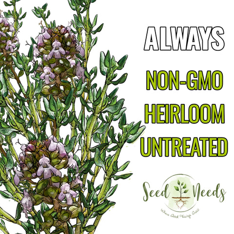 Seed Needs thyme leaves aroma close-up highlights fragrant foliage