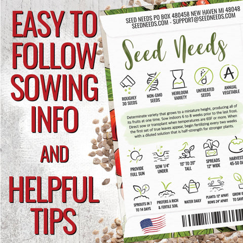 Seed Needs Tiny Tim harvest-ready tomatoes on the vine for snacking