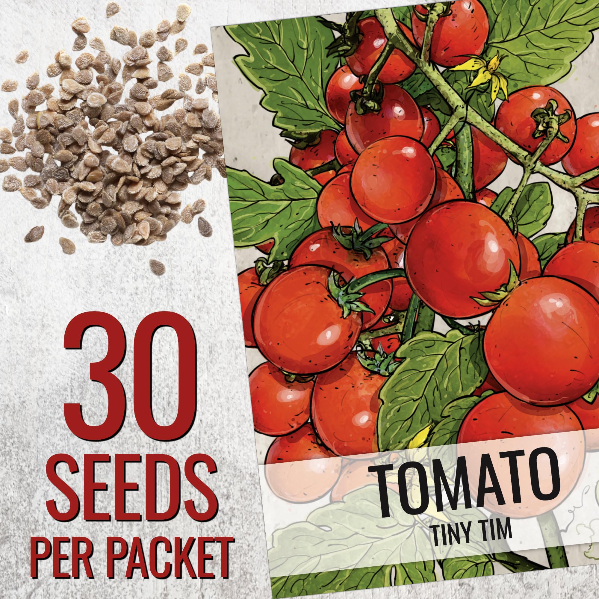 Seed Needs Tiny Tim plant indoors on windowsill for tomato growing