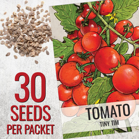 Seed Needs Tiny Tim plant indoors on windowsill for tomato growing