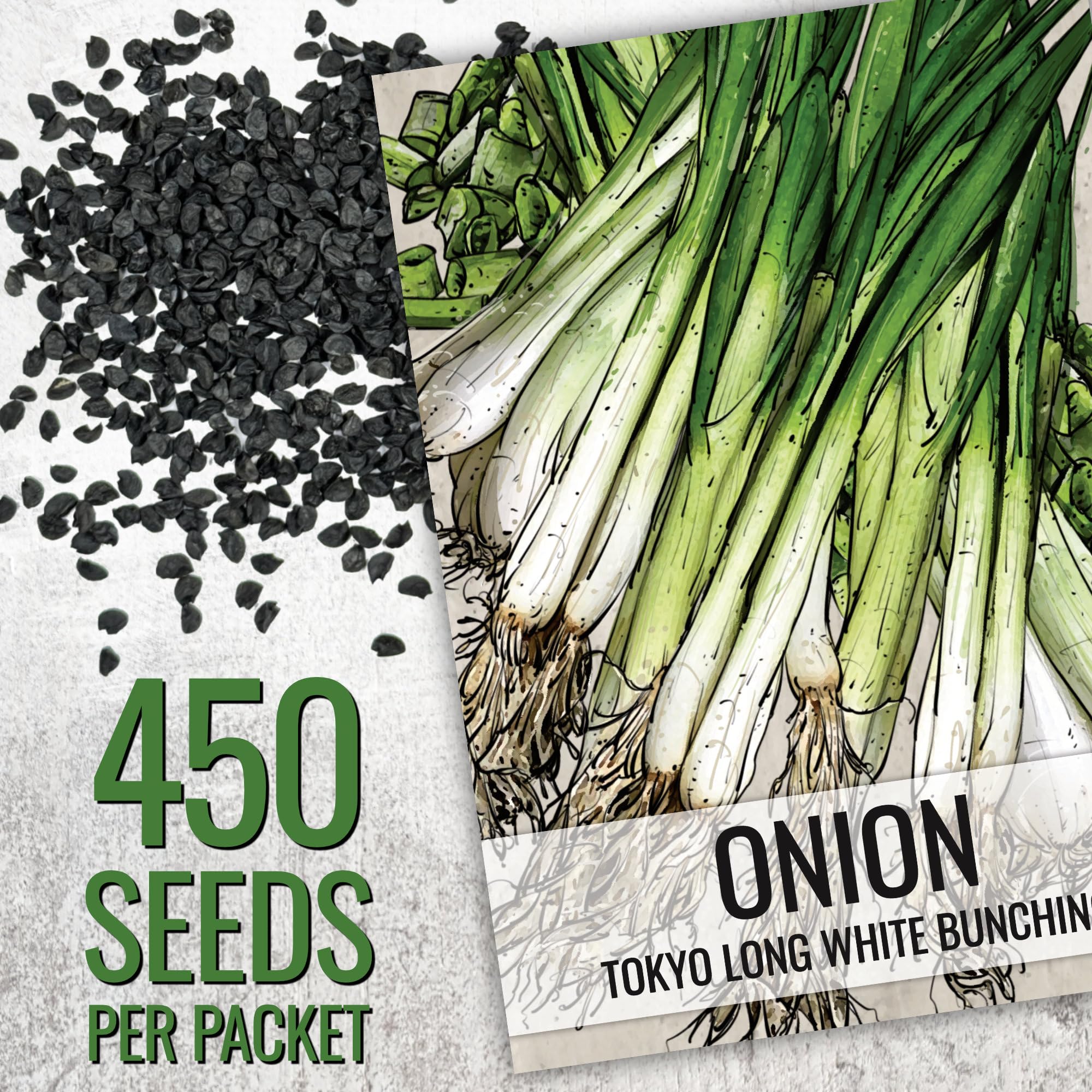 Seed Needs Tokyo White Bunching onion plants in garden bed for fresh harvest.