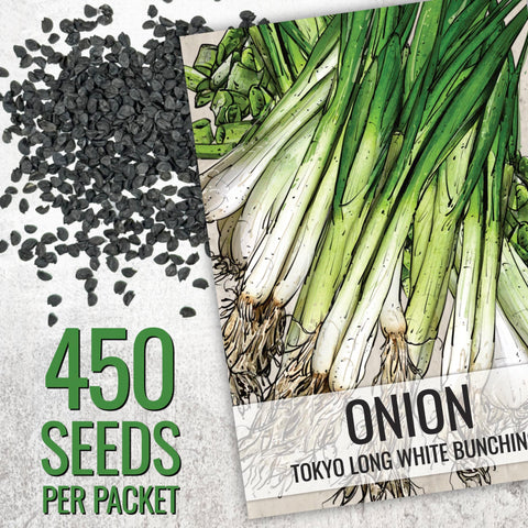 Seed Needs Tokyo White Bunching onion plants in garden bed for fresh harvest.