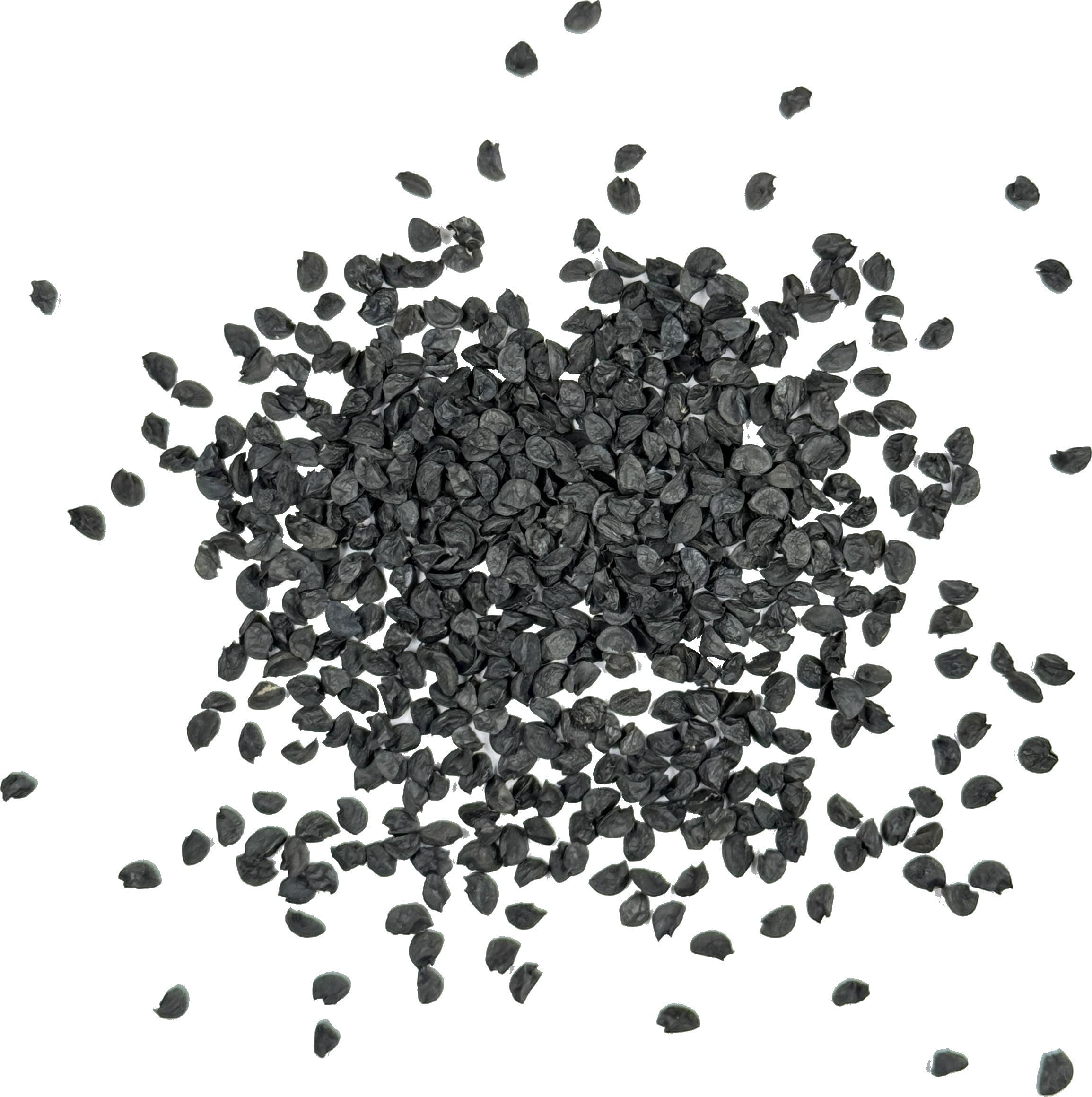 Seed Needs Tokyo White Bunching onion illustrated seed packet for easy sowing.