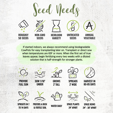 Seed Needs logo with Grande Rio Verde branding for reliable seeds
