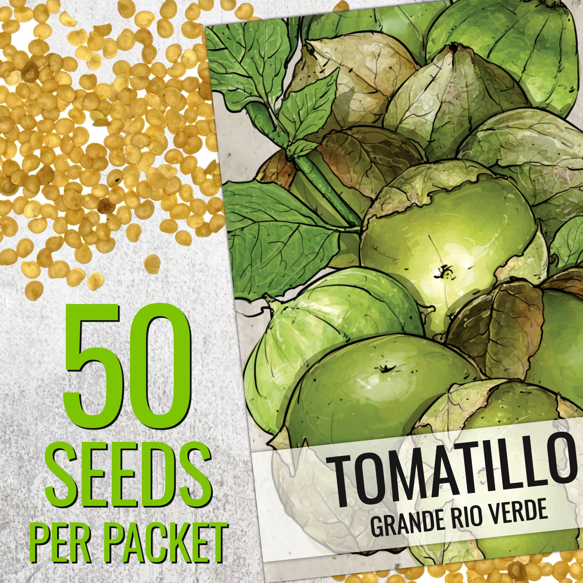 Seed Needs tomatillo plant growing in full sun demonstrates strong garden performance