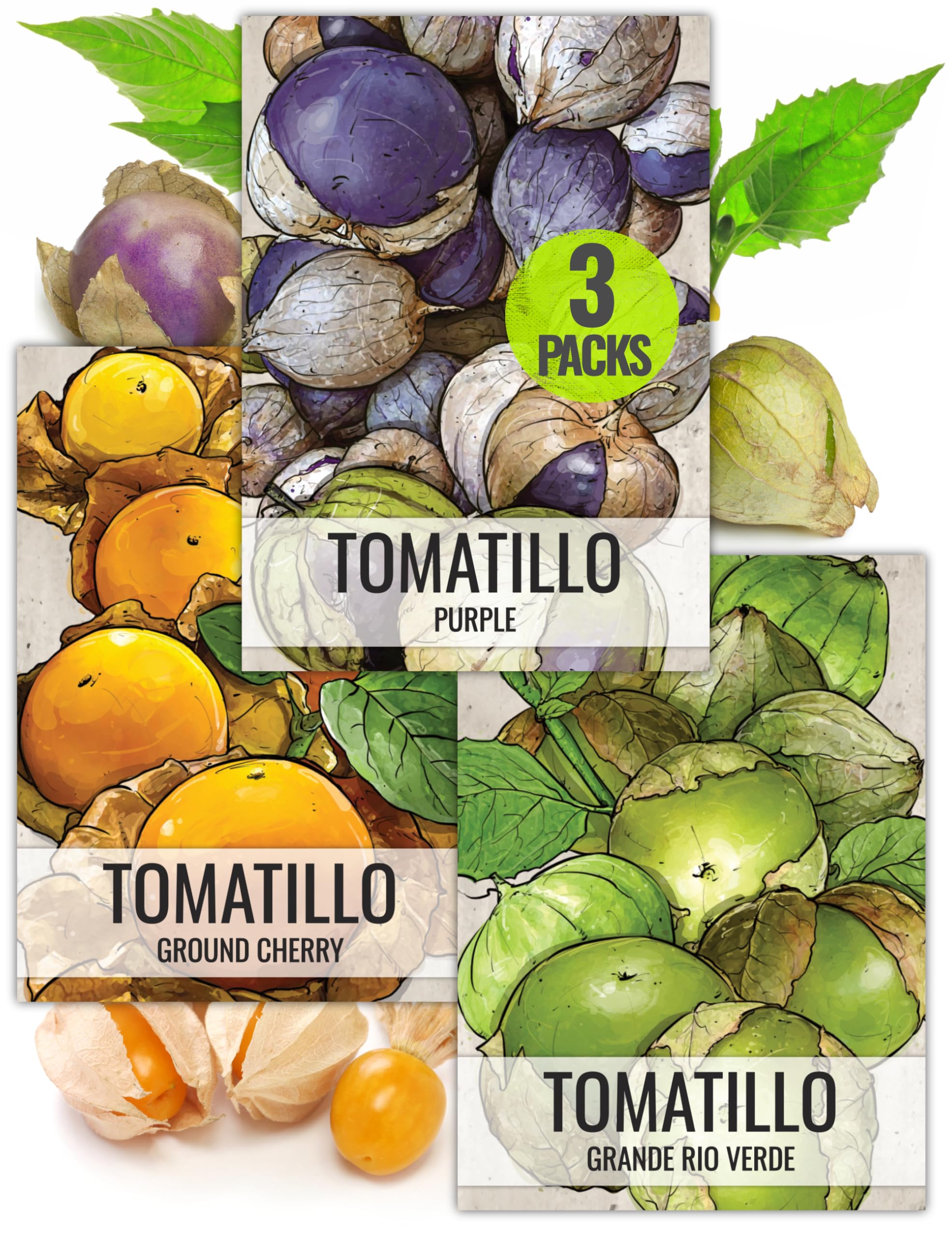Seed Needs tomatillo variety pack front illustration ready for spring planting.