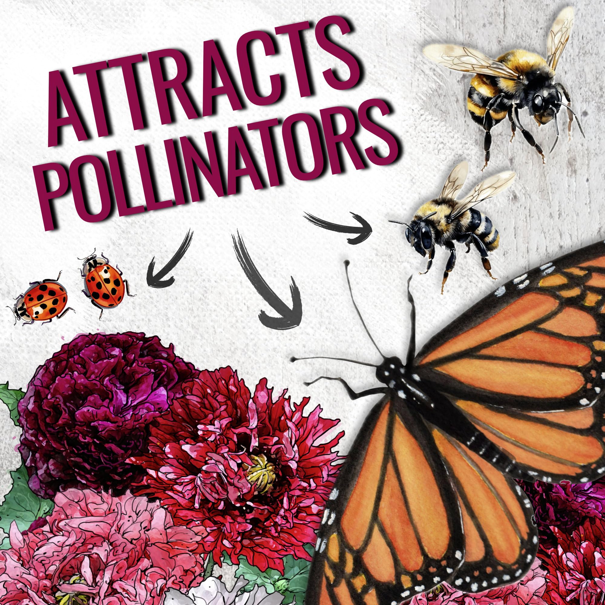 Seed Needs blooms range pink, red, purple, white, and bi-colors for vivid mixes.