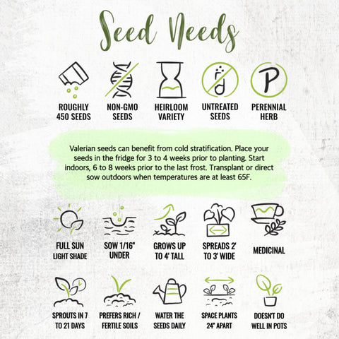 Seed Needs heirloom valerian seeds in sturdy packaging.