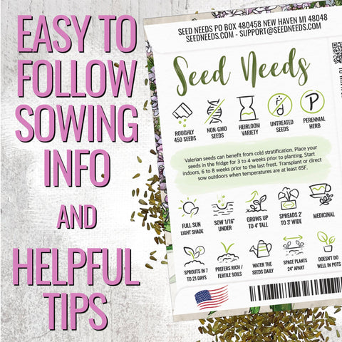 Seed Needs valerian roots ready for harvest after two years.